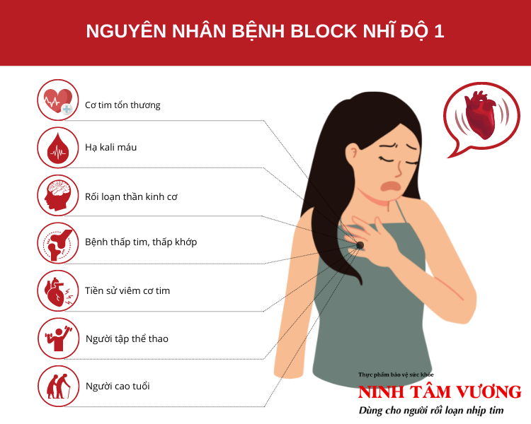 Nguyen-nhan-benh-block-nhi-that-do-1